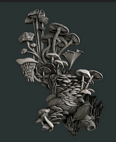 Zuri - Mushroom Bloom Set 3